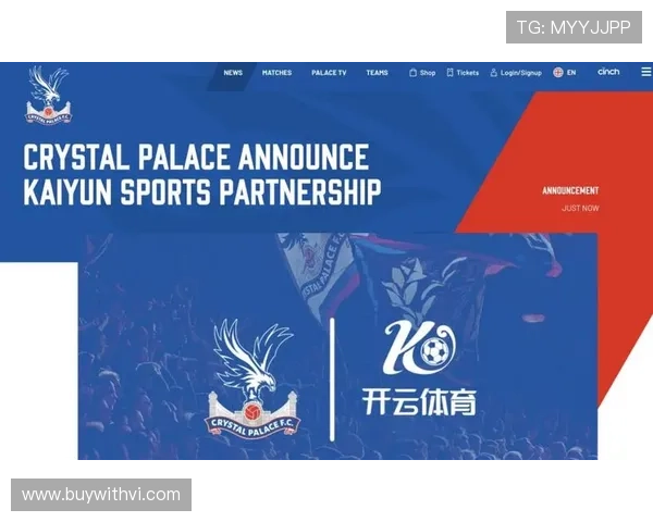 畅玩开云体育游戏网址的最佳策略与心得